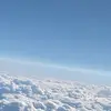 shonhamilton41 - @shonhamilton41 - TikTok