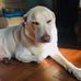 Shon LeRoy - Facebook