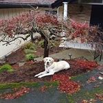 Shon Stone - @shonstone.52 - Instagram