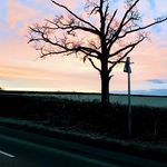 Shona Davis - @shona.davis.96 - Instagram