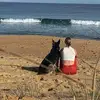 Shona Davis - @shona.davis - TikTok