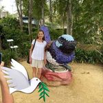 Shona Scott Lyall - @lyallshona - Instagram
