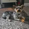 Shona Simpson - @shona.simpson6 - TikTok
