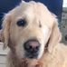 Shona Simpson - Facebook