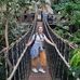 Shona Thomas - Facebook