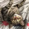 shona_watson - @shona_watson - TikTok