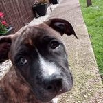 Shona Webster - @shona.webster.338 - Instagram