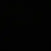 Shonda Davis - @shonda.davis98 - TikTok