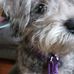 Chanda Decker - Facebook