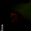 may - @shondahill46 - TikTok