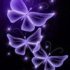 Shonna Prescott-Anderson - @shonna.prescottan - TikTok