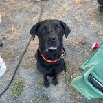 Shonna Bauer - @shonna.78 - Instagram