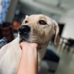 Shreya Narayan - @10.shreya.0123 - Instagram