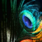 Shreyas sinha - @shreyas_sinha_arts - Instagram