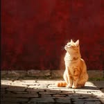 Shrikant Joshi - @_shrikant_joshi_ - Instagram