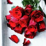 shrishti seth - @shrishti2188 - Instagram