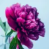Shruti Bhatnagar - @shrutibhatnagar72 - TikTok