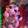 Shruti Ghadi - @shrutighadi21 - TikTok
