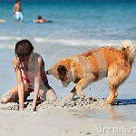 Shruti Krishnan - @fuzzylogic07 - Instagram