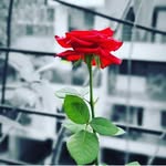 shruti - @shruti_labhale - Instagram