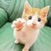 Shruti Puthran - Facebook
