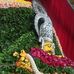 Shruti Sarodey - Facebook