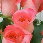 Shruti Shivhare - @shruti.shivhare.758 - Instagram