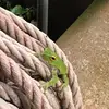 ばんぶー - @chengshuchangling - TikTok