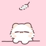 ねこたゃん⭐️ - @shutan_neko - Instagram
