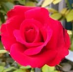 Shubham Chandra - Facebook