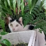 Shu Hui Lin - @shuhui.lin.902 - Instagram