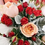 Shuhui Lin - @linshuhui - Instagram