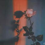 shui ling ling - @shui.ling.ling - Instagram