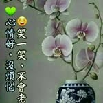 水羚芳 - @shuilingfang - Instagram