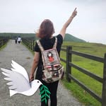 廖水靈 - @shuilingliao - Instagram