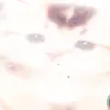 Raymondtancao - @caoshujun4 - TikTok