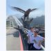 Shuling Liu - Facebook