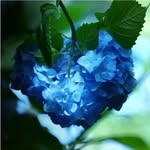 Shunsuke Fujii - @shun_luis_1130 - Instagram