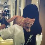 @shunting.1004 - Instagram