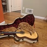 Shunting Zhang - @shunting.zhang - Instagram