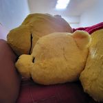 阿書 - @shuting_huang_0313 - Instagram