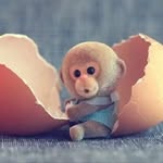 Shutong Wang - @shutong0610 - Instagram