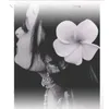 Ew'r Shuva - @shuvaroy9098 - TikTok