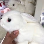 Shuva Roy - @royshuvo532 - Instagram