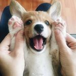 Chen Shuwen - @chen.shuwen.10 - Instagram