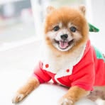 Shuwen  Chen - Facebook