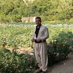 Shwana Ali - @shwanaali52 - Instagram