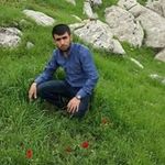 Shwana Ali - @shwanali4433 - Instagram