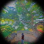 Shwe Phyo - Facebook