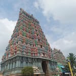 Shyamala Devi kumaresan - @shyamala_kumaresan - Instagram